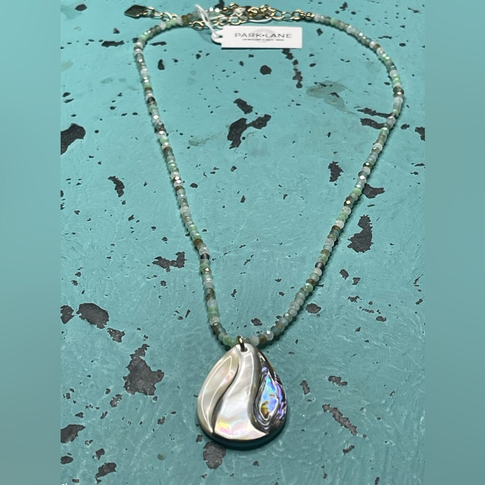 Park Lane Necklace. NWT